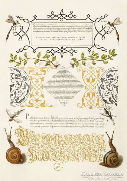 Mira Calligraphiae Monumenta kézirat díszes szöveg arany kalligráfia reprint csiga kakukkfű rovarok