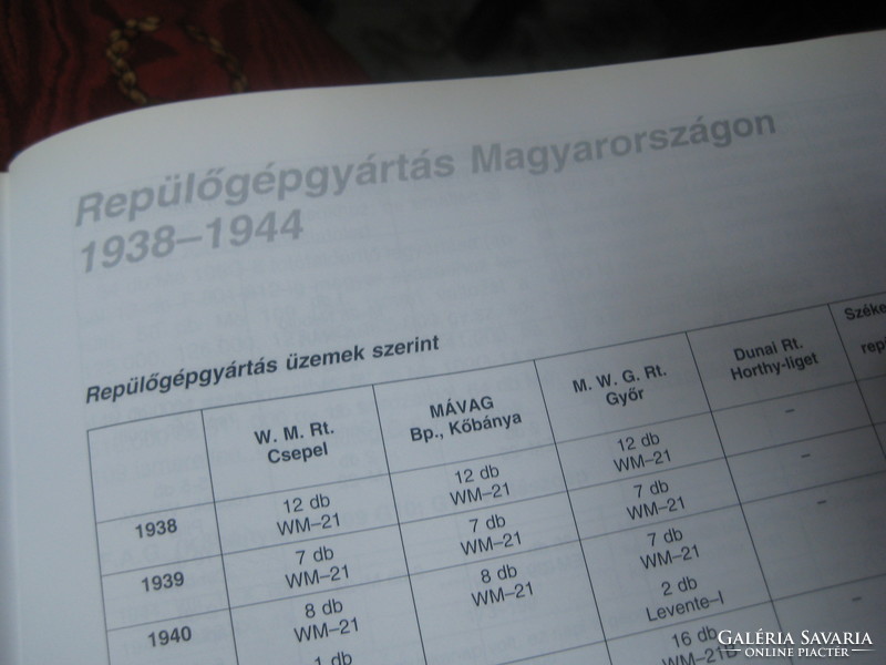 MAGYAR  SASOK  ,  Punka Gy. -Sárhida    A Magyar Királyi Honvéd Légierő 1925-1945