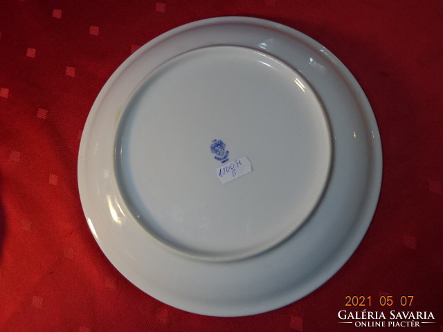 Lowland porcelain flat plate, diameter 24 cm. He has!