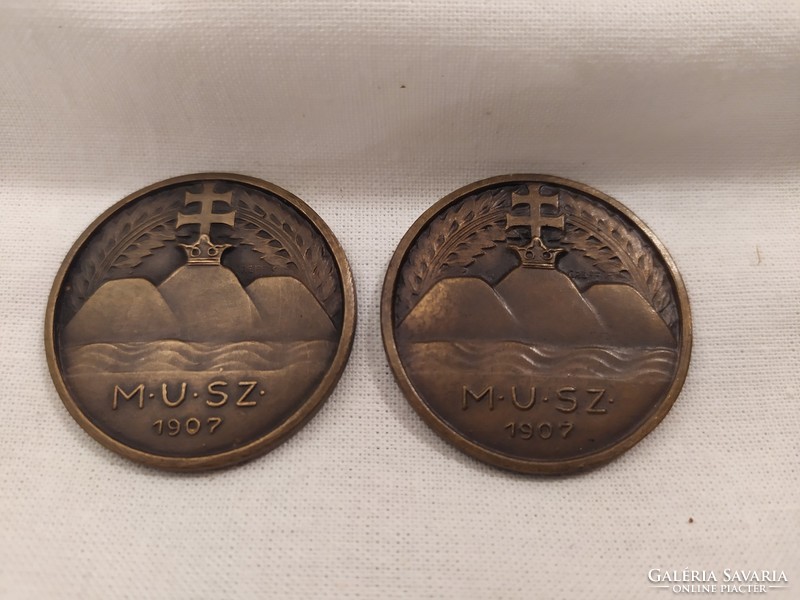 2 db eredeti bronz M.U.SZ.  Ludvig szignós 1907 emlékérem