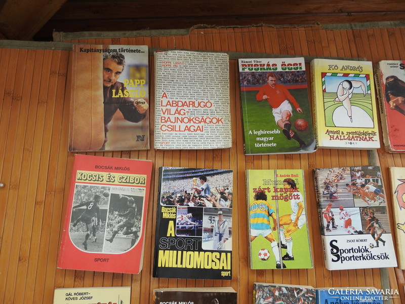 Sports books _ soccer books _ football