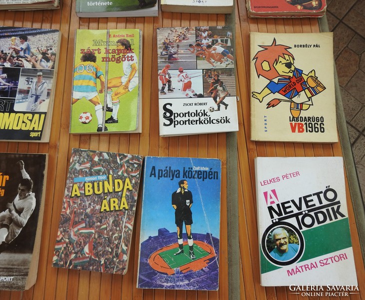 Sports books _ soccer books _ football