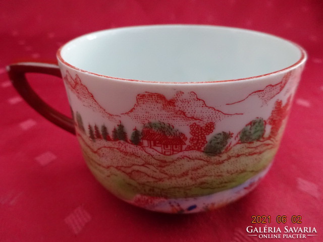 Victoria Czechoslovak porcelain, antique Japanese teacup. He has!