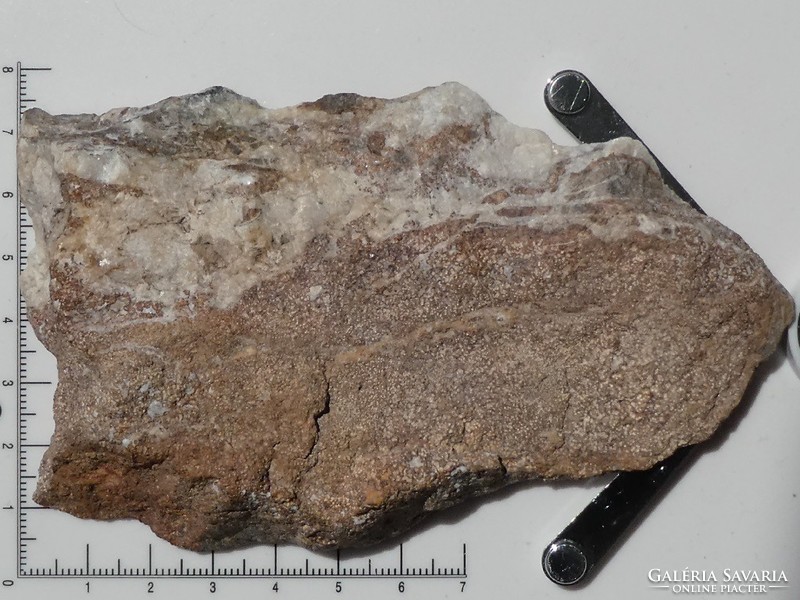 Természetes Schalenblende: Szfalerit, Wurtzit és Pirit kristályok Dolomitos kőzetben. 254 gramm