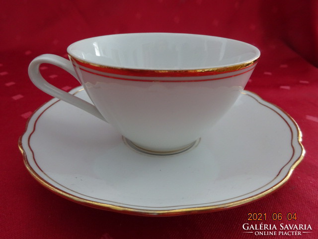 REGINA csehszlovák porcelán teáscsésze + alátét, arany szegélyes. Vanneki!