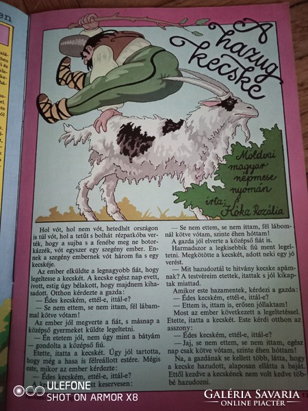 Állatfürkésző - A Kisdobos nyári magazinja - 1985