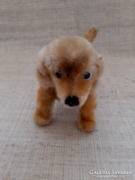 Old mohair small dachshund with heart markings in good condition