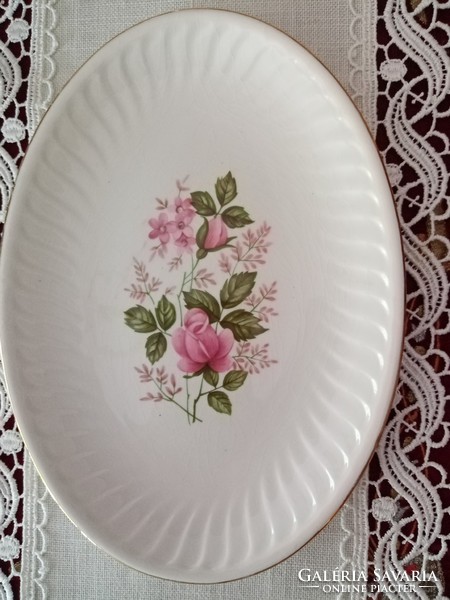Antique faience French - gien - i - serving plate, centerpiece, oval