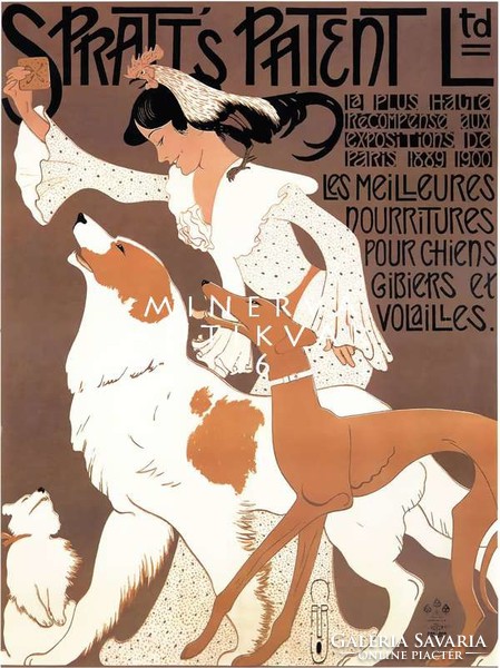Vintage kutyaeledel plakát reprint nyomat, kutya agár bernáthegyi fehér barna kakas keksz lány gazdi