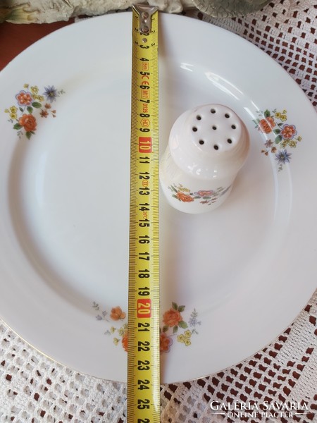 Alföldi porcelán 24 cm átmérőjű lapostányér ,  tányér , sószóró   nosztalgia darab