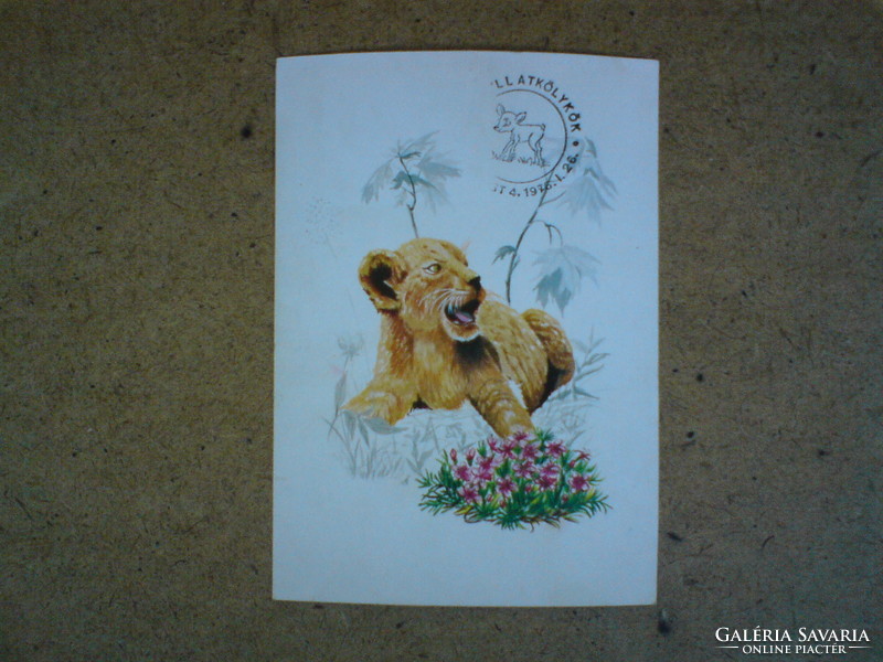 Old graphic postcard 1976 - lion - graphics: Éva Zombori