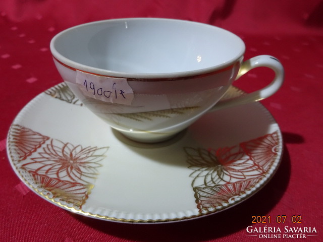 TK Thun  csehszlovák első osztályú  porcelán teáscsésze, más alátéttel. Vanneki!