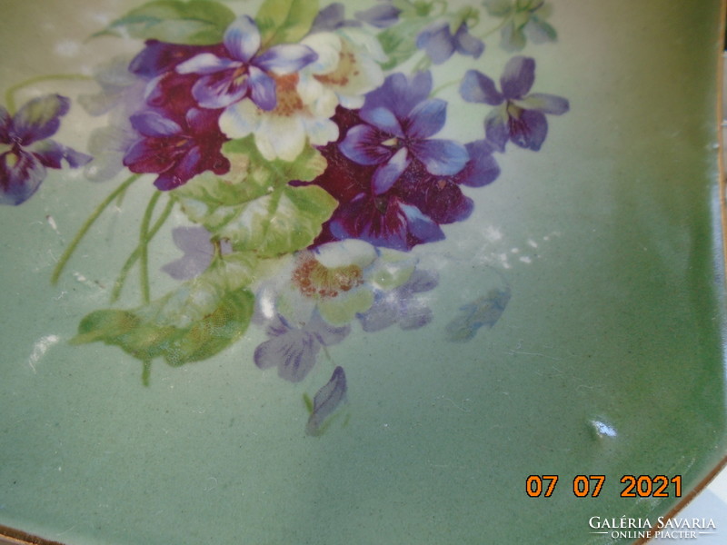 Antique English painting violet plate