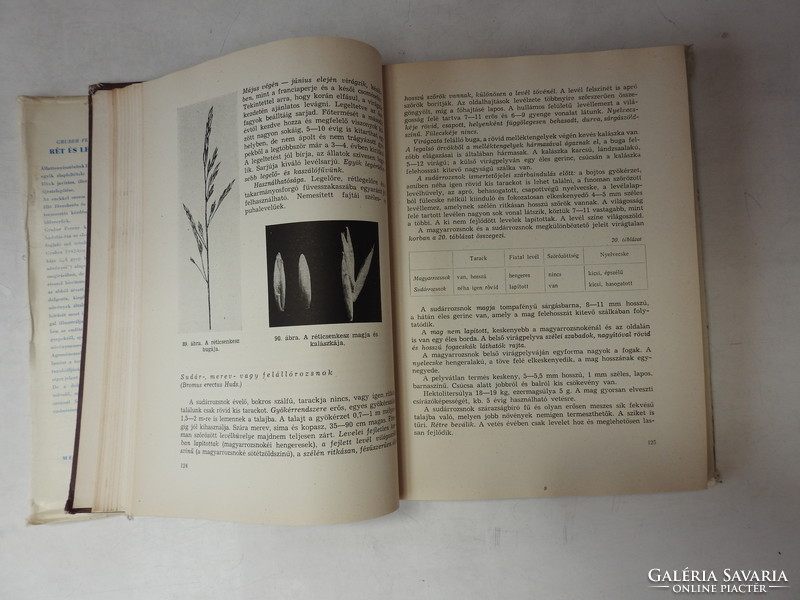 Gruber _ meadow and pasture - agricultural book publisher