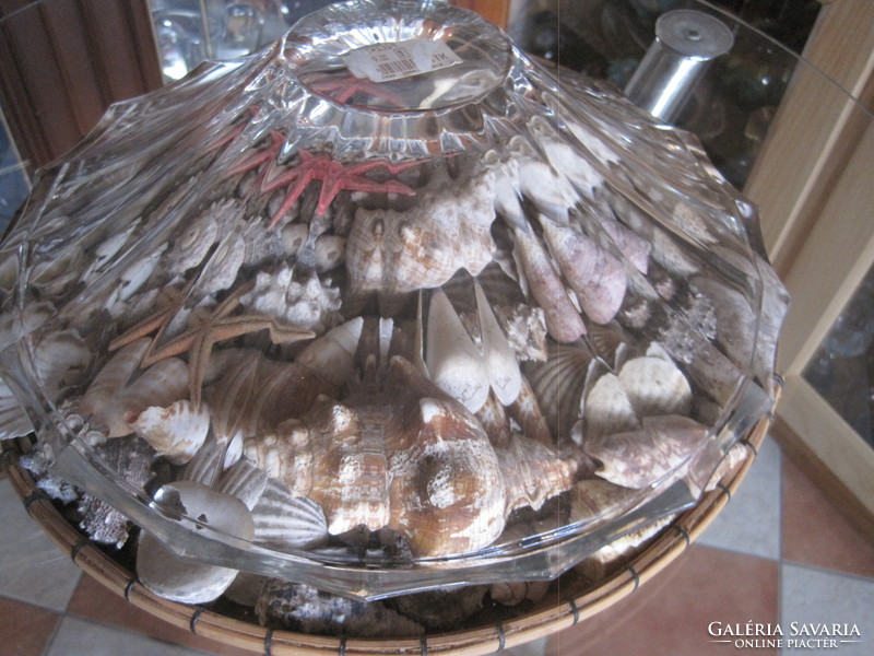 Kagyló gyűjtemény,,egy nagyon szép csiszolt olasz tállal !