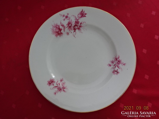 Drasche porcelán lapostányér, rózsaszín virággal, átmérője 23,8 cm. Vanneki!