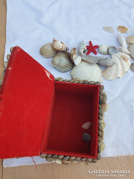 Shell gift box for sale!