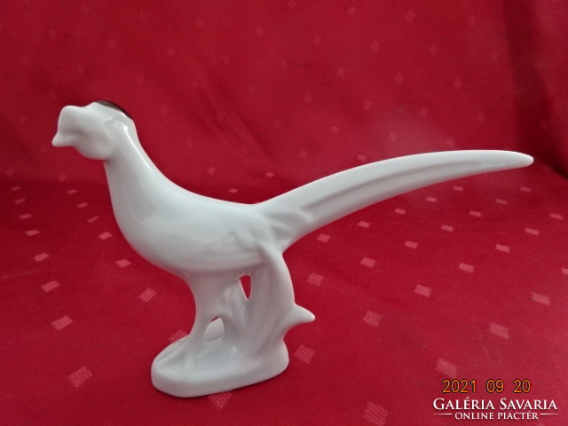 Porcelán figura, fehér fácán kakas, hossza 18 cm. Vanneki!