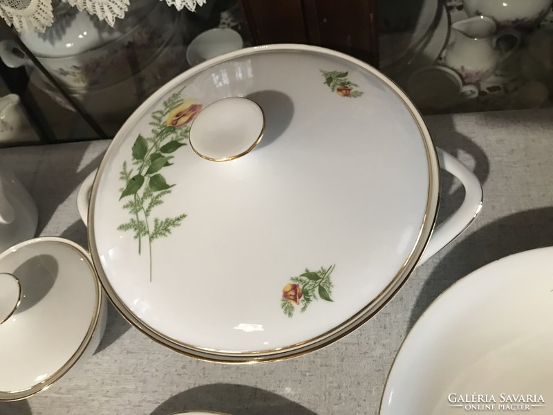Wonderful bohemia Czechoslovak tableware tea set yellow rose pattern plate set