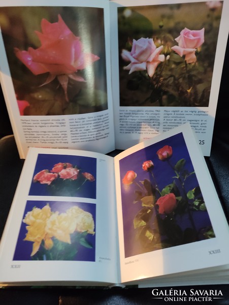 Rózsák zsebkönyve -88 színes oldal a rózsákról.