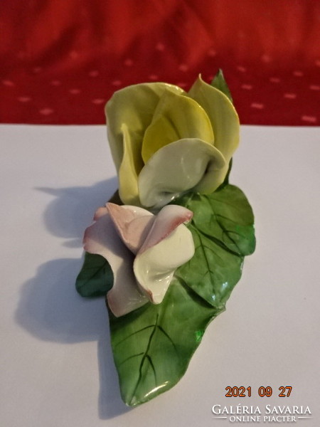 Aquincum porcelain rose with yellow and pink petals. He has!