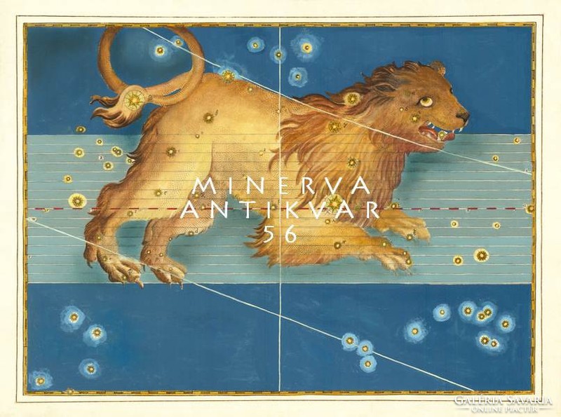 Leo lion constellation constellation zodiac horoscope zodiac reprint j.Bayer uranometry 1625