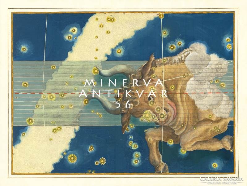 Taurus Bika csillagkép konstelláció csillagjegy horoszkóp Zodiákus REPRINT J. Bayer Uranometria 1625