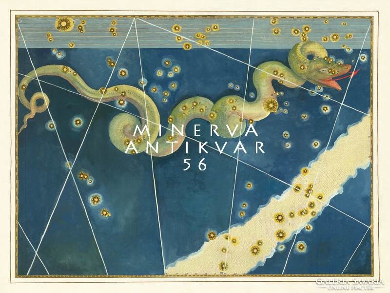 Hydra sea monster snake constellation sky map greek mythology reprint j.Bayer uranometry 1625