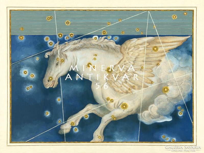 Pegasus winged horse constellation sky map greek mythology reprint j.Bayer uranometry 1625