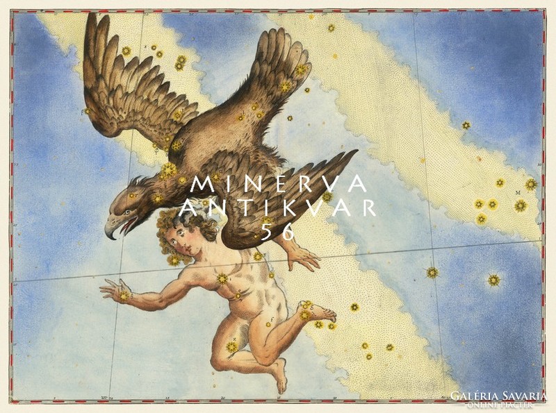 Aquila eagle altair constellation sky map greek mythology reprint j.Bayer uranometry 1625