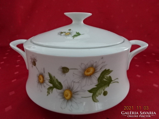Lowland porcelain soup bowl with daisy pattern, top diameter 17 cm. He has! Jókai.