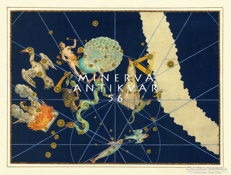 A legdélibb csillagképek páva főnix kaméleon daru paradicsommadár REPRINT J.Bayer Uranometria 1625