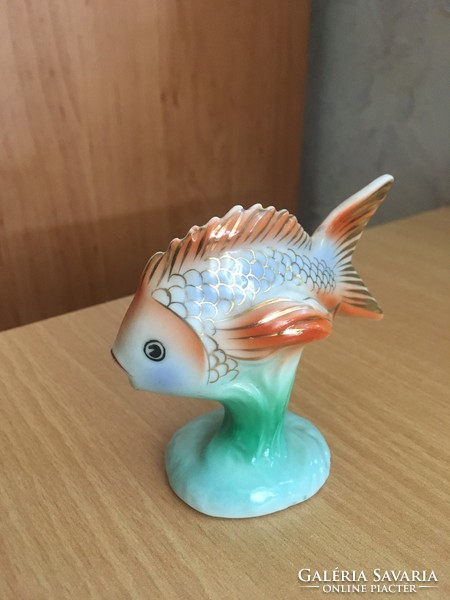 Ravenhouse goldfish for sale!