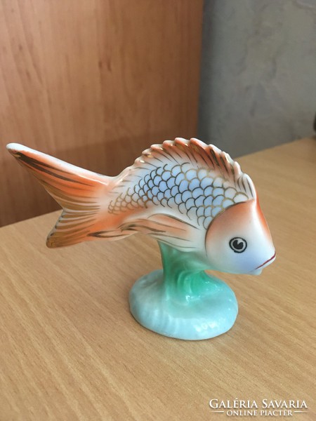 Ravenhouse goldfish for sale!