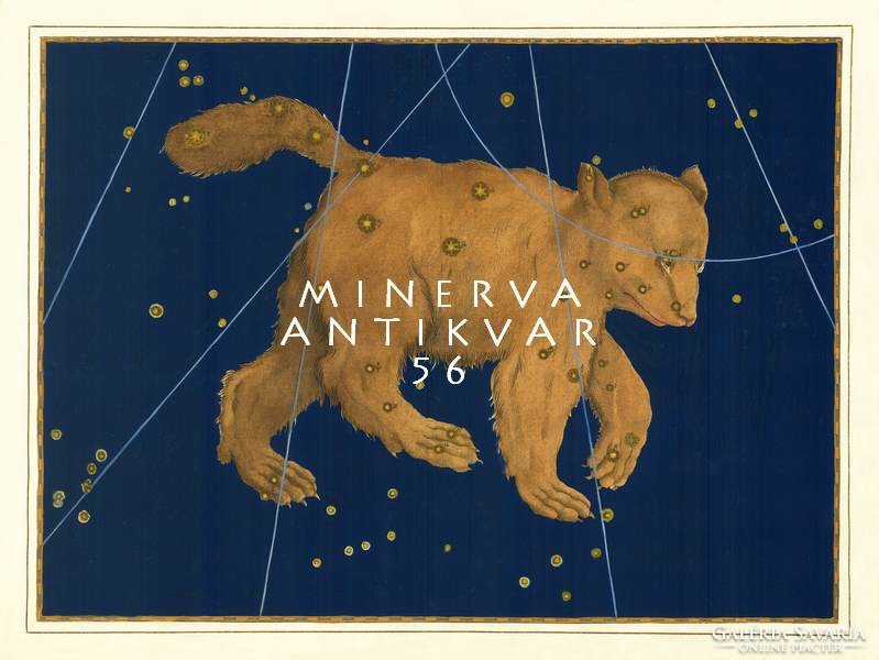Ursa major big bear dipper big dipper constellation astronomy reprint bayer uranometry 1625