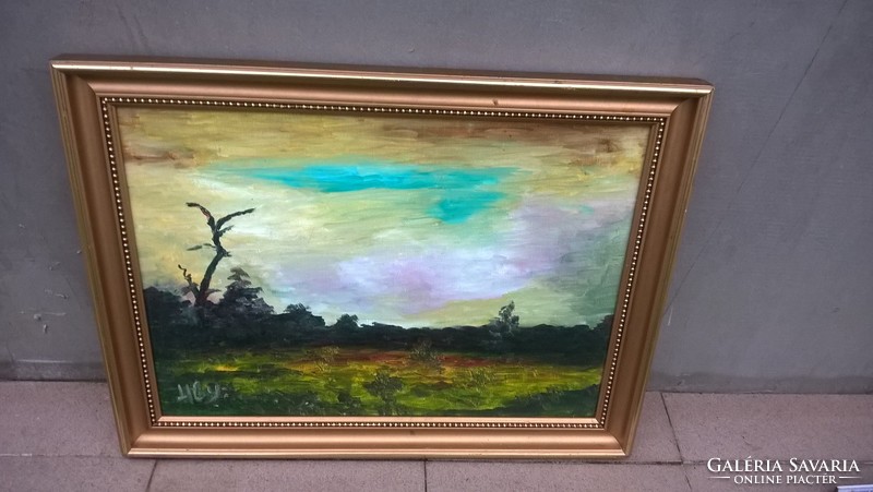 Szép festmény H.Gy: jelzéssel 58x43 cm kerettel