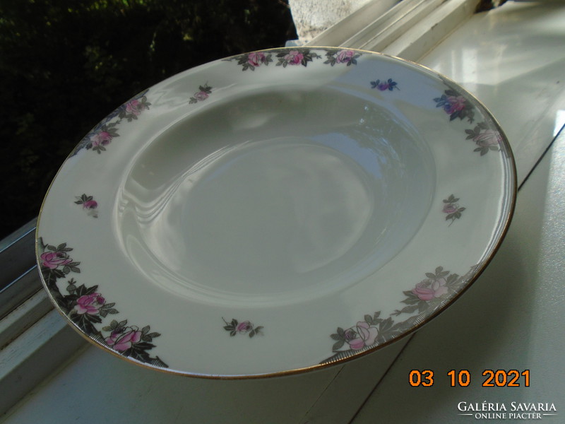 Antique Viennese rosy deep plate
