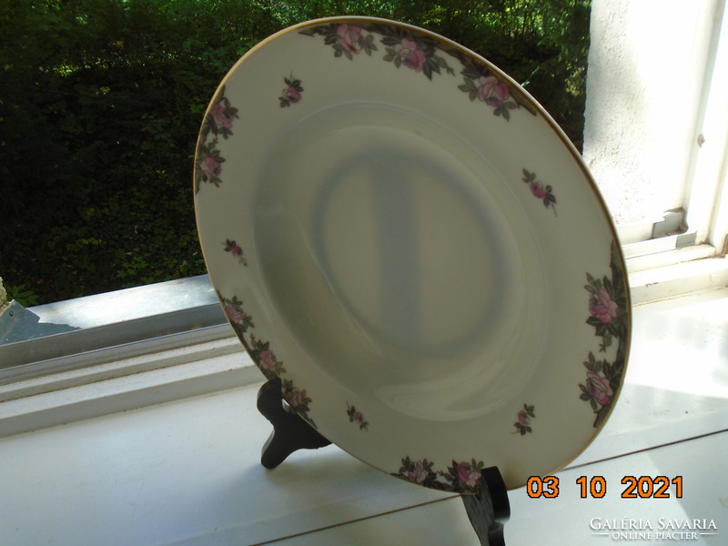 Antique Viennese rosy deep plate