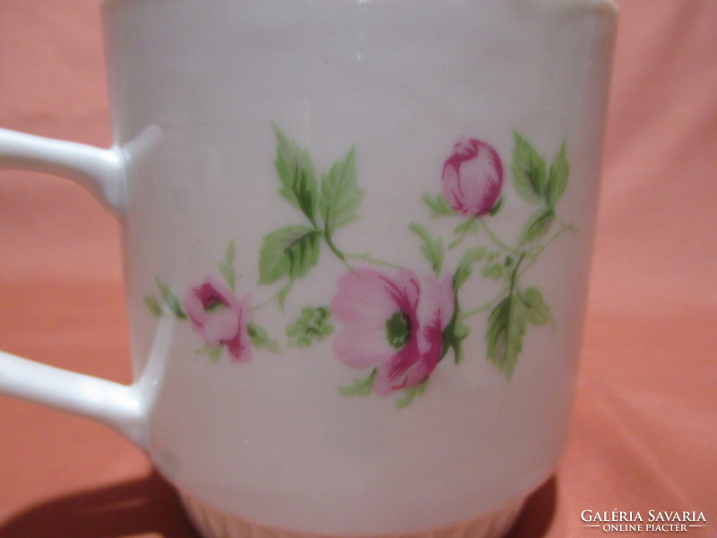 Mug with wild roses, cup