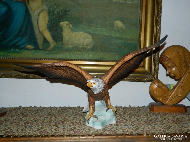 Goebel: a white-headed eagle from 1969