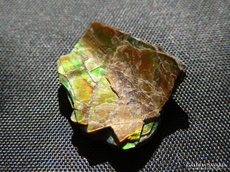 Ammolite, an ammonite fossil residue converted to natural aragonite. Collection piece.