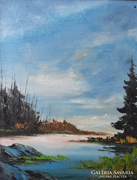 Serene, colorful lake landscape (oil on canvas, frame 39x33 cm) wet landscape, idyllic nature