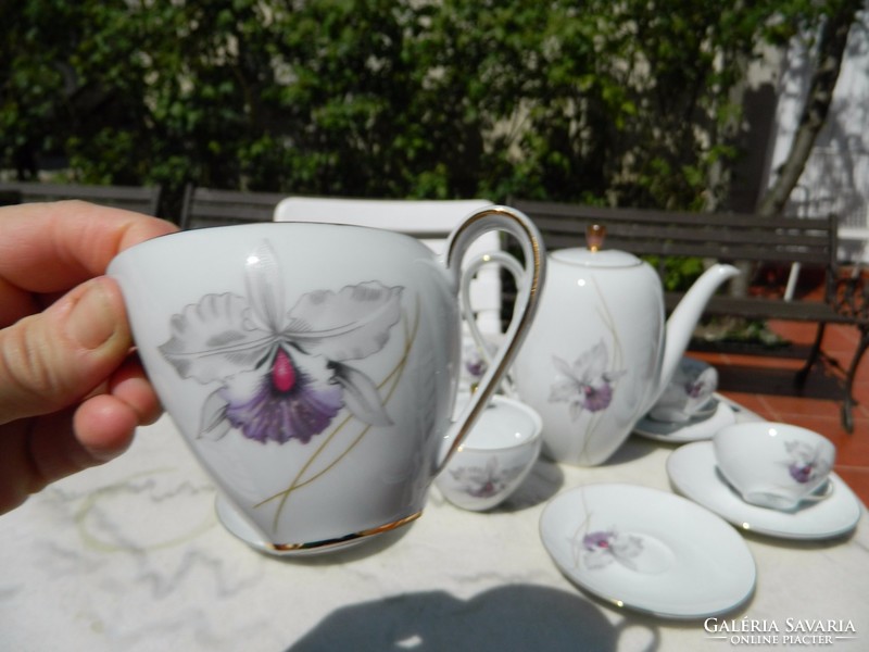 Eschenbach bavaria orchid pattern coffee set