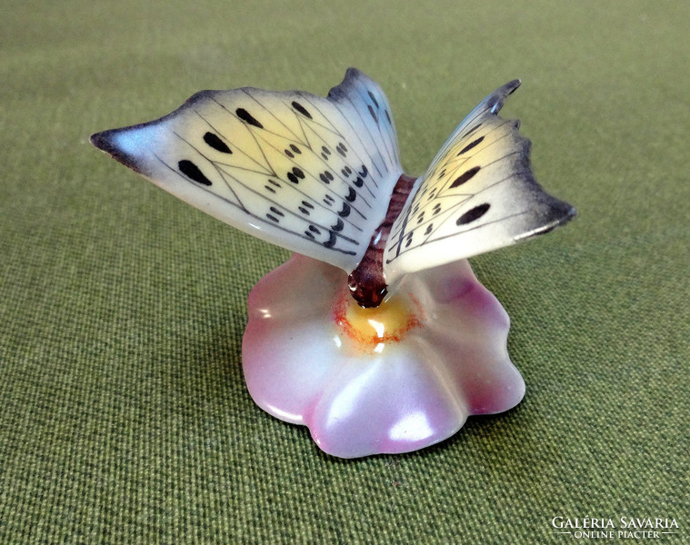 Drasche porcelángyár pillangó virágon