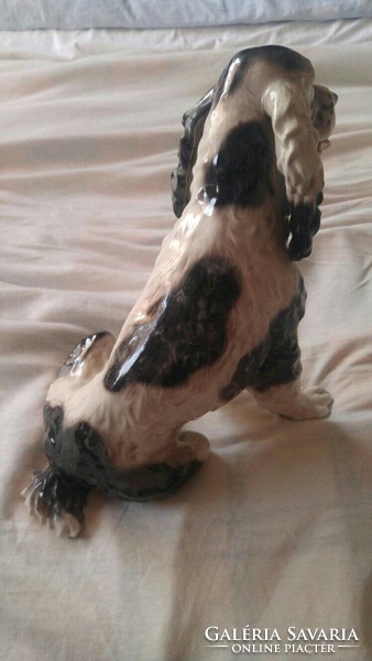 Rare antique marked tailor z 69 porcelain dog sculpture rarity 30cm flawless!