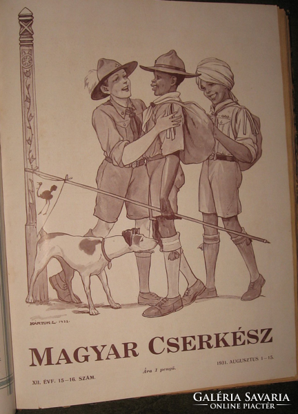 All scouts of the Hungarian scout from 1931 are in a book