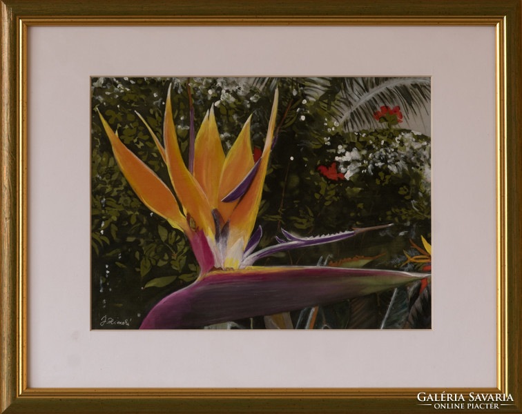 Judith Hiszekné, parrot flower, silk watercolor