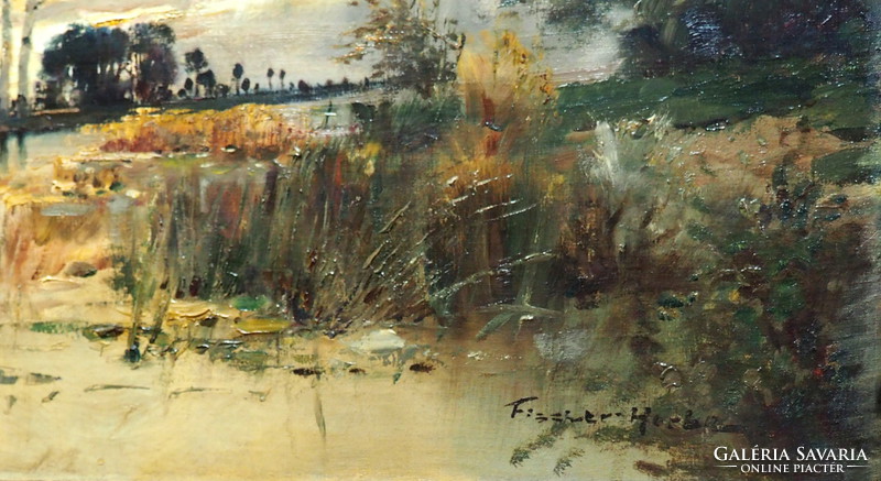 Herbert Fischer-Durnberger (1919-1985): swampy landscape