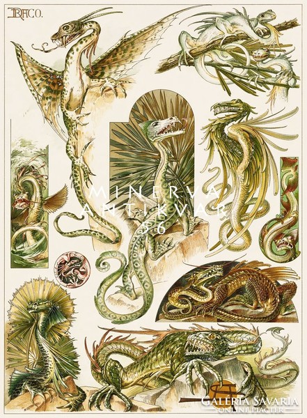 Sárkányok III. A.Seder 1896 szecessziós nyomat reprint, fantasy, mitológia, legenda, kitalált lények