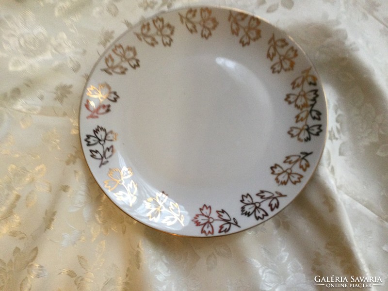 Old beautiful Czech porcelain plate 24 cm